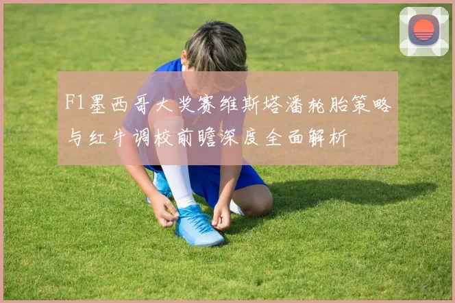 F1墨西哥大奖赛维斯塔潘轮胎策略与红牛调校前瞻深度全面解析