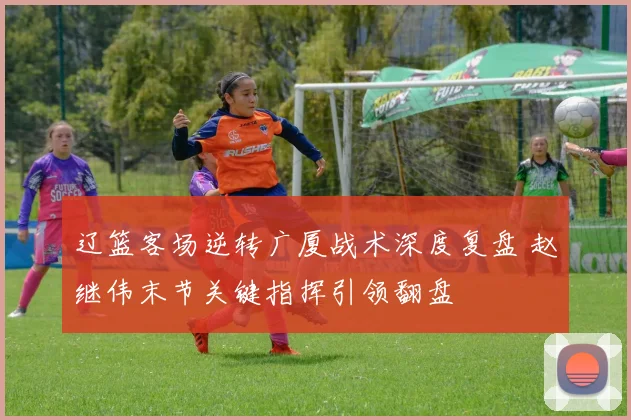 辽篮客场逆转广厦战术深度复盘 赵继伟末节关键指挥引领翻盘
